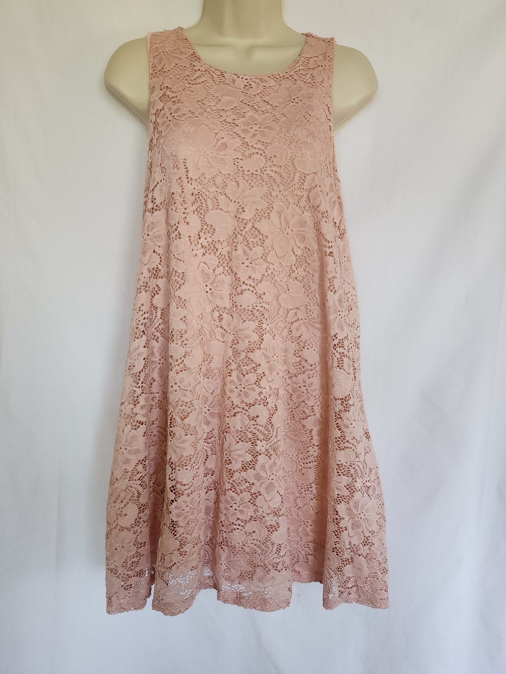 Ginger G Blush Dusty Rose Pink Floral Lace Sleeveless A-Line Dress L